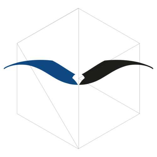 Adler Logo mit Flügeln in V Form